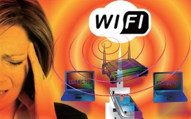 Sóng wifi có thể trở thành nguyên nhân gây ra hàng loạt vấn đề sức khỏe mà bạn không ngờ đến