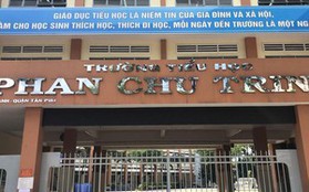 TPHCM: Buộc thôi việc cô giáo đánh, véo tai học sinh tiểu học