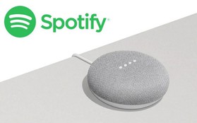 Spotify tặng miễn phí loa thông minh 50 USD cho mỗi thành viên Premium, nhưng người dùng Việt đừng vội mừng