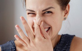 8 lý do khiến cho mùi “thả bom” của bạn là điều kinh hoàng với mọi người xung quanh