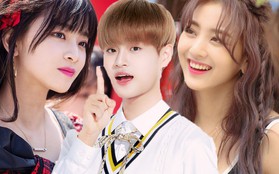 Loạt Idol bước ra từ show sống còn từng bị netizen ném đá: Người bật khóc, người nỗ lực thay đổi