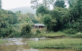 Hai mẹ con tâm thần sống như “thời tiền sử” trong túp lều cao 2m không có đường vào: “Thương nó lắm nhưng cũng đành chịu”