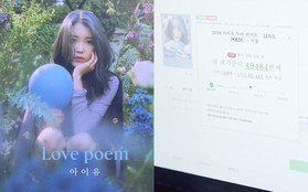 Trước thềm come back, "chủ tịch" IU giả làm fan tranh vé concert của chính mình và cái kết... "ra chuồng gà" cũng không mua được!