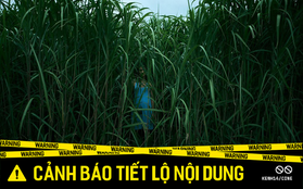 In The Tall Grass: Vài cọng cỏ xanh đu đưa cũng khiến ối người yếu bóng vía phải "đóng bỉm"