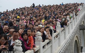 Cảnh tượng biển người mênh mông trong kỳ nghỉ lễ Quốc Khánh Trung Quốc: Người dân đứng chật cứng cả cây cầu chỉ để "check-in"