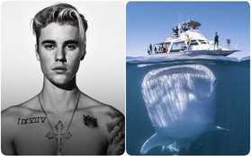 Justin Bieber bảo con cá to bằng cả cái du thuyền này là có thật, nhưng đằng sau nó còn một cú twist mà không nhiều người nhận ra