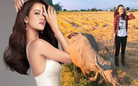 "Ai bảo chăn trâu là khổ", câu chuyện Hương Ly mang đến "Hoa hậu Hoàn vũ VN" có đang bị hiểu sai?