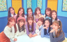 IZ*ONE còn chưa tái xuất mà Sakura đã phá kỉ lục Tzuyu ở Trung, hứa hẹn soán ngôi TWICE tại Hàn