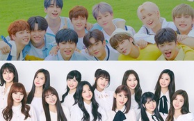 Xôn xao thông tin công ty của các thành viên X1 và IZ*ONE họp bàn tan rã, Mnet chính thức lên tiếng phủ nhận