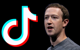 Phát hiện Mark Zuckerberg bí mật chơi TikTok, chuyên theo dõi người nổi tiếng và các "boss" chó cưng