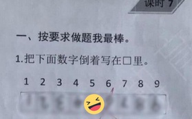 Ra đề bài đếm ngược từ 1-9, cô giáo ngã ngửa khi nhận lại đáp án từ cậu học trò