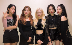 4 cựu thành viên PRISTIN lần đầu tiết lộ lí do nhóm cũ tan rã: Hoá ra Pledis vô tội và những người còn lại không thiết tha với nghề?