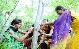 Phong tục tập quán lạ: Làng nghèo ở Ấn Độ trồng 111 cây xanh mỗi một bé gái được sinh ra
