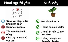 Chán khẩu nghiệp, các “liền anh”, “liền chị" tìm ra thú vui mới xịn sò, rủ nhau bớt sân si