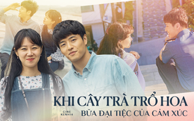 Xúc động chuyện tình tỉnh lẻ nhẹ nhàng của Kang Ha Neul và mẹ đơn thân Gong Hyo Jin ở "Khi Cây Trà Trổ Hoa"