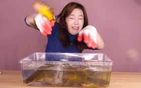 Những tưởng chỉ chật vật với cá to, nào ngờ cá nhỏ cũng khiến Youtuber Ssoyoung hốt hoảng nhưng sau đó vẫn "lật mặt" như thường
