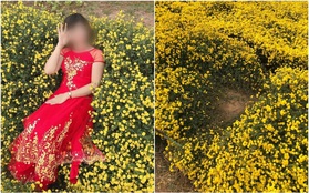 Hình ảnh cô gái nằm ngả ngớn thẳng luống hoa cúc để chụp ảnh khiến dân mạng "nóng mắt": Duyên đến thế là cùng!