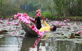 Mặc áo dài chèo thuyền chụp hoa súng và cú ngã lộn nhào như "múa ba lê" của người phụ nữ khiến dân mạng dở khóc dở cười