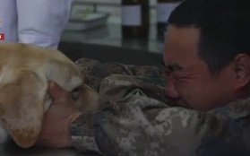 Hình ảnh anh lính khóc nức nở ôm 'người đồng đội' chó sắp qua đời khiến ai xem xong cũng không thể kìm nổi nước mắt