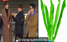 Các thành viên Running Man Hàn “lú lẫn” vì loại rau thơm khi ăn kèm với phở ở Việt Nam, chú Ji Suk Jin còn bị một vố “quê độ”