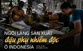 Đậu phụ nhiễm độc ở Indonesia: Món ăn rẻ tiền được sản xuất từ rác thải nhựa của Mỹ chứa hóa chất gây chết người khiến ai cũng rùng mình