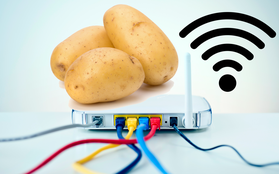 Thanh niên "ngố tàu" cắm khoai tây để phát sóng Wi-Fi: Không hề nhảm nhí, chuyên gia cũng làm theo hẳn hoi!