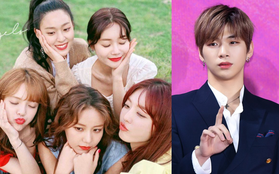 "The Show" bị tố gian lận kết quả khiến AOA mất chiến thắng vào tay Kang Daniel, fan hợp sức đòi lại công bằng