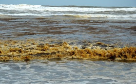 Quảng Ngãi: Nước biển đổi sang màu xám đen chưa rõ nguyên nhân