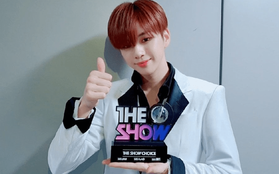 Bên lề MAMA 2019, Kang Daniel được Dispatch minh oan: Chiến thắng trước AOA trên "The Show" là hoàn toàn xứng đáng!
