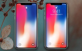 Nếu đang dùng iPhone X/XS, check ngay lỗi mới này nếu không muốn pin tụt nhanh như tiền sắm Tết