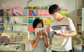 Đổi gió với 6 phim Hoa Ngữ từ thanh xuân vườn trường lãng mạn đến cung đấu "căng cực" trên Netflix