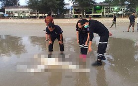 Thái Lan: Phát hiện 3 thi thể không nguyên vẹn dạt vào bờ biển gần Pattaya