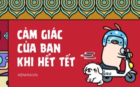 Đây chính là cảm giác của tất cả chúng ta khi biết rằng Tết đã hết thật rồi!