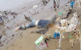 Thanh Hóa: Phát hiện thi thể phụ nữ đang phân huỷ mang theo tiền ngoại tệ trôi dạt vào bờ biển