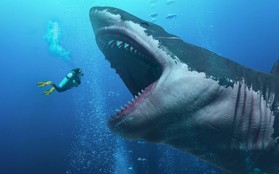 Sinh vật đã từng giết chết siêu quái vật Megalodon có thể đang tồn tại ngay lúc này