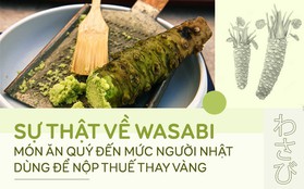 Sự thật đằng sau wasabi: thứ gia vị tưởng chừng như bình dị nhưng lại quý đến mức được người Nhật dùng để nộp thuế thay vàng