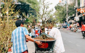 Chợ hoa Bến Bình Đông: Người Sài Gòn chi chục triệu chở Tết về nhà