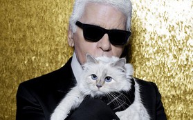 Mèo cưng của Karl Lagerfeld trở thành mèo giàu nhất thế giới với tài sản 3,4 triệu đô