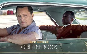 Vì sao "Green Book" chiến thắng Oscar 2019 mà nhìn đâu cũng toàn gạch đá?