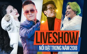 Nhìn lại năm 2018, Vpop có những liveshow nào tạo được dấu ấn mạnh mẽ?