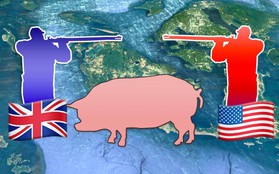 Câu chuyện về "War Pig" và "Pig War": từ những con lợn quật ngã cả voi, đến nguy cơ gây đại chiến giữa 2 cường quốc