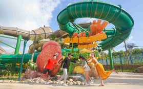 Vui hết mình dịp lễ này tại Aquatopia Water Park mới mở cửa ở Phú Quốc