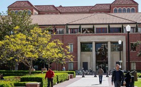 Hé lộ về 'người thông minh' bí ẩn chuyên nhận thi hộ trong vụ bê bối tuyển sinh vào Stanford, Yale