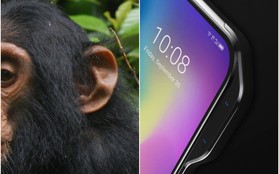 Apple có “tai thỏ”, còn hãng Trung Quốc này lại thích làm smartphone “tai khỉ” mới chất