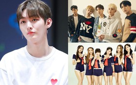 Cựu trưởng nhóm Wanna One coi chừng: Hãy nhìn gương T-ARA, HIGHLIGHT để thấy họ khổ sở thế nào khi bị công ty đăng kí bản quyền tên gọi!