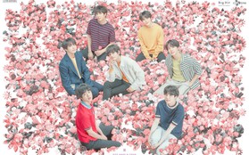 100 triệu đồng cho 1 tấm vé concert BTS: Fan phẫn nộ vì thành phần chợ đen hét giá quá quắt!