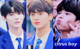 Dàn trai đẹp trong 101 thí sinh "Produce X" gây bão tại buổi ra mắt: Cực phẩm, chưa debut đã có cả chục fansite