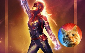 Review cực ngắn "Captain Marvel": "Boss" Goose chiếm sóng, đáng yêu át phần thiên hạ