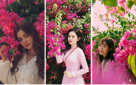 Chụp cả trăm kiểu đều đẹp, đây là giàn hoa được dân sống ảo truy lùng tại một trường đại học ở Việt Nam