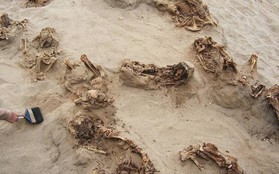 Khai quật khu hiến tế trẻ em lớn nhất lịch sử: Hàng trăm bộ xương lộ ra, đã bị lấy mất nội tạng